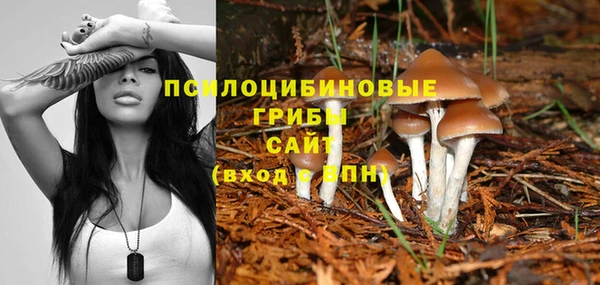 Альфа ПВП Алзамай