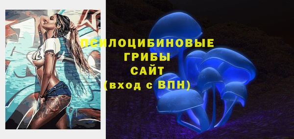 таблы Алексеевка