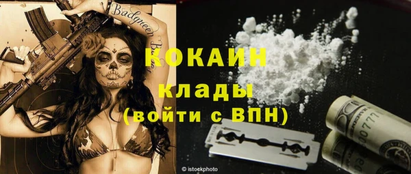 гидра Алексин