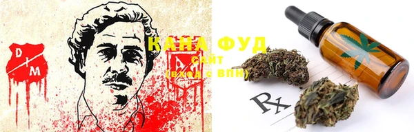 гидра Алексин