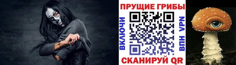Псилоцибиновые грибы прущие грибы  где можно купить наркотик  Гусь-Хрустальный 